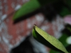 DSC_0023.JPG
