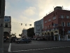 DSC_0204.jpg
