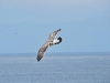 DSC_0258.jpg