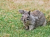 DSC_0273.jpg