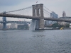 DSC_0058.jpg