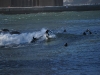DSC_0011.jpg