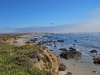 DSC_0344.jpg