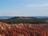 DSC_0065.jpg