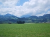 DSC_0016.jpg