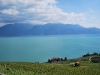 DSC_0043.jpg