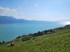 DSC_0044.jpg