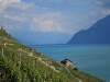 DSC_0052.jpg