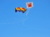 DSC_0087.jpg