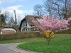 DSC_0079.jpg