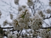 DSC_0182.jpg