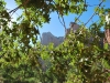 DSC_0152.jpg